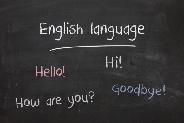 Language Policy